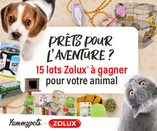 Concours Yummypets